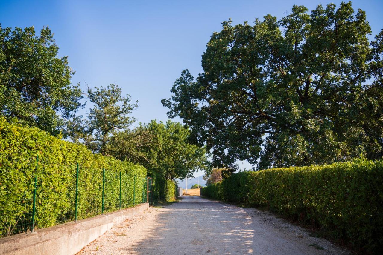 Le Colonne Bed and Breakfast Cassino Εξωτερικό φωτογραφία
